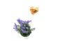 Blumenstecker aus Olivenholz
