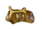 UNIKAT aus Olivenholz " ATHENA " (you get is what you see!)